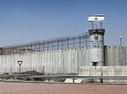 Palestine_(4767357955).jpg