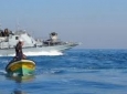 صياد.jpg