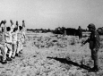 نكسة.jpg