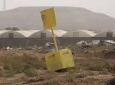 خط أصفر.jpg