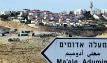 معاليه ادوميم.jpg