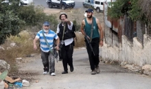 التقاط.JPG