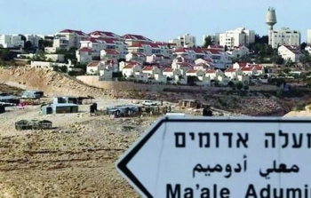 معاليه ادوميم.jpg