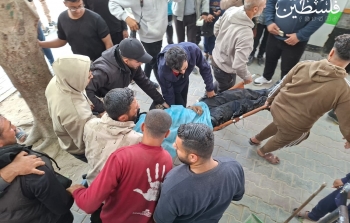 19f01bf3-d262-4a45-9475-b74b7f18186a.jfif