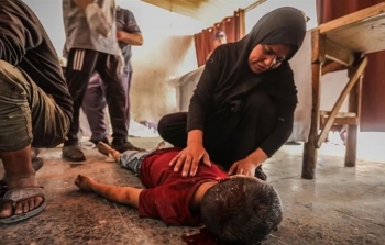 التقاط.JPG