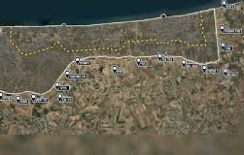 اصفر.jpg