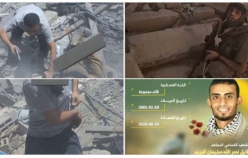 التقاط.JPG