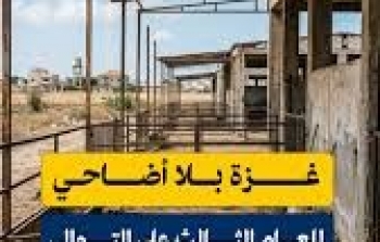 اضاحي.jpg